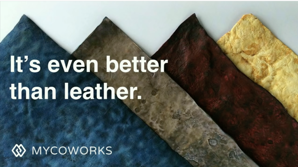 better than leather x without y mycoworks