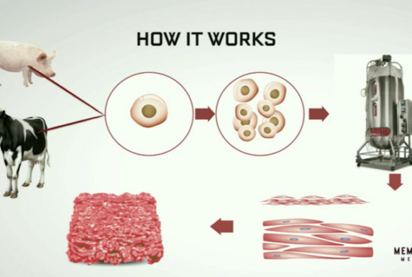 memphis meats explained x without y